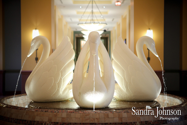 Best Orlando Wedding photographer - Sandra Johnson (SJFoto.com)
